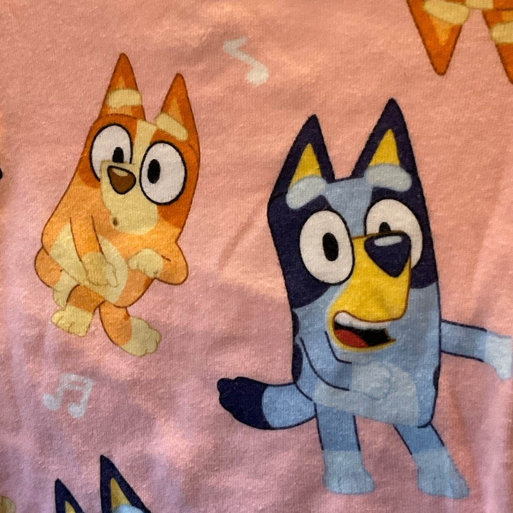 Bluey Pajama Set - Pink and Light Blue - Picture 4 of 4